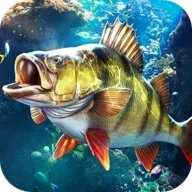 ֵʦ(е)v1.0.0.195531 ٷ