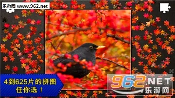 ƴͼܻ԰ֻv1.0.1 ֻͼ