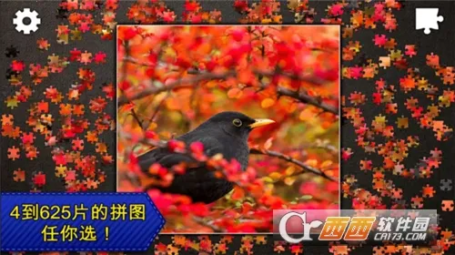 ƴͼܻ԰ֻv1.0.1 ֻͼ