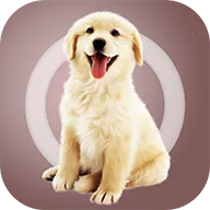 ˹2025°汾v2.0.3 ٷ