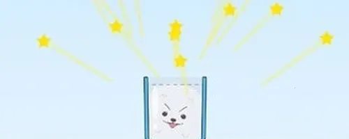 HAPPY DOGS2025ٷ°汾