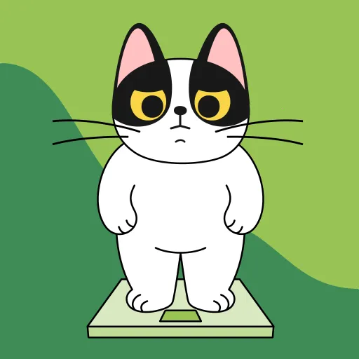 è伫ٰ2025ٷv1.0.1 ٷ