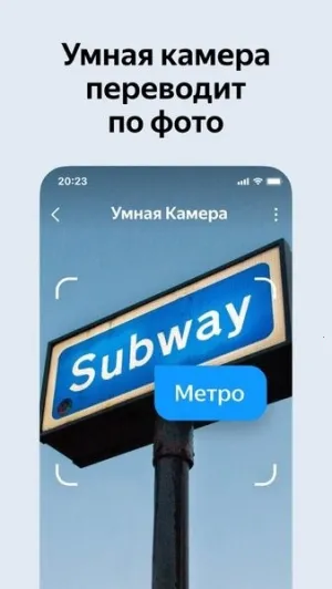 ˹yandexֻv25.8.6.112 ׿ͼ