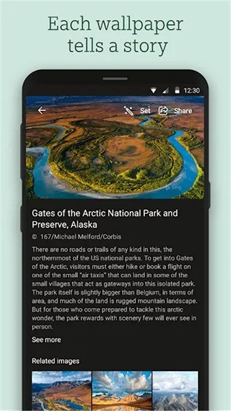 Ӧֽ(ֽԴ)v12.0.47470801 ٷͼ