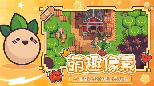 ��ͷ�˲����ռ�(����ð����Ϸ)v1.2.5 �ֻ����ͼ