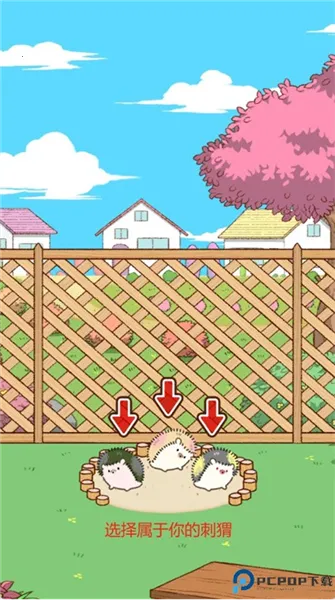 С������2025���°汾