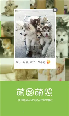 ��צ(�����罻ƽ̨)v3.0.0 ��Ѱ��ͼ