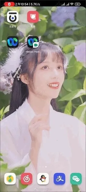 Webex����(�ƻ�������)