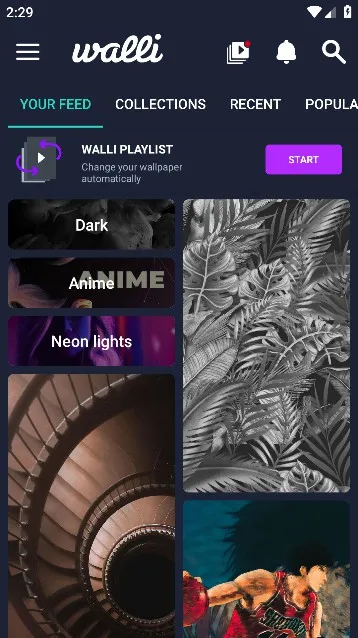 walli壁纸(壁纸应用) walli壁纸(壁纸应用)