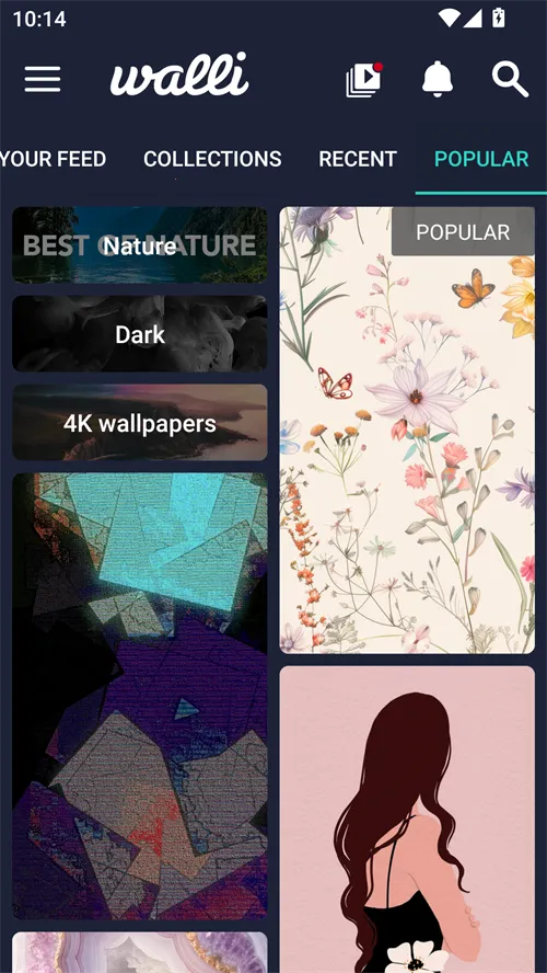 walli��ֽ(��ֽӦ��)v2.12.82 ��Ѱ��ͼ