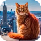 è�����ռǴ���(è�䶼��ð����Ϸ)v1.1 ��׿��