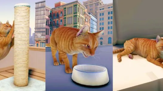 è�����ռǴ���(è�䶼��ð����Ϸ)v1.1 ��׿���ͼ