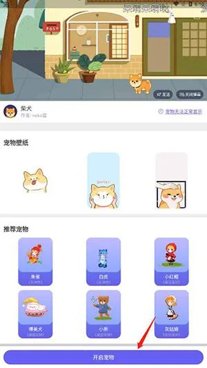 �����������(�������Ӧ��)