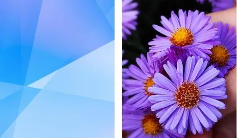 �ᰮ������ֽ(��ֽ��Դƽ̨)