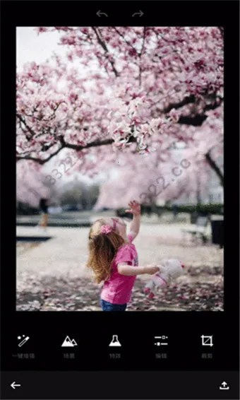 Fotor(ͼƬ�༭����)