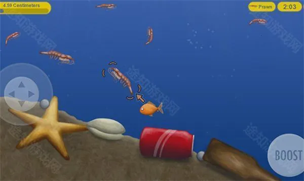 ��ζ����(�����С����Ϸ)