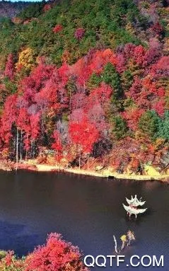 大美黄陂(黄陂综合服务平台) 大美黄陂(黄陂综合服务平台)