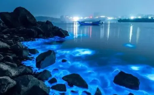 ƽ̶��2025���ذ�װ