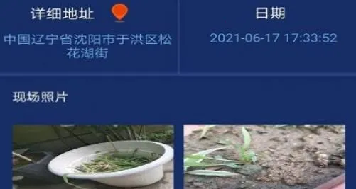 Ȫ��������2026���°汾