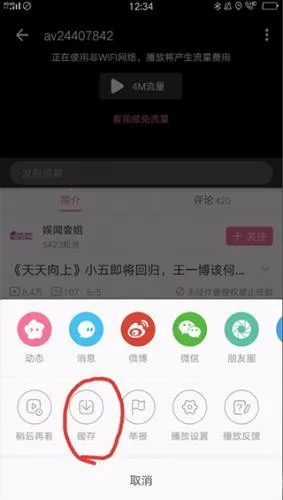 ��������(��Ƶ��������)