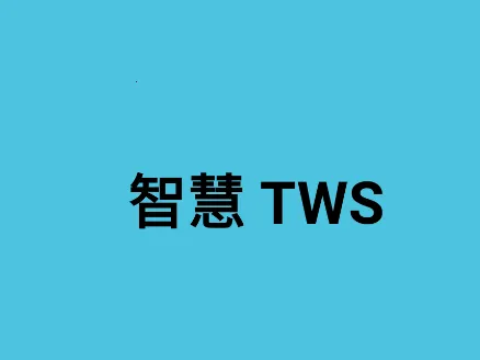 智慧TWS安卓版手机版 智慧TWS安卓版手机版