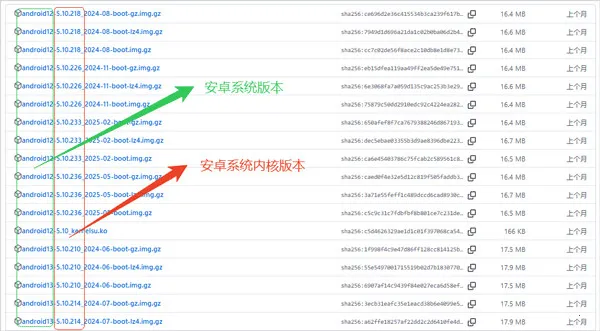 KernelSUNext2026�ٷ�����