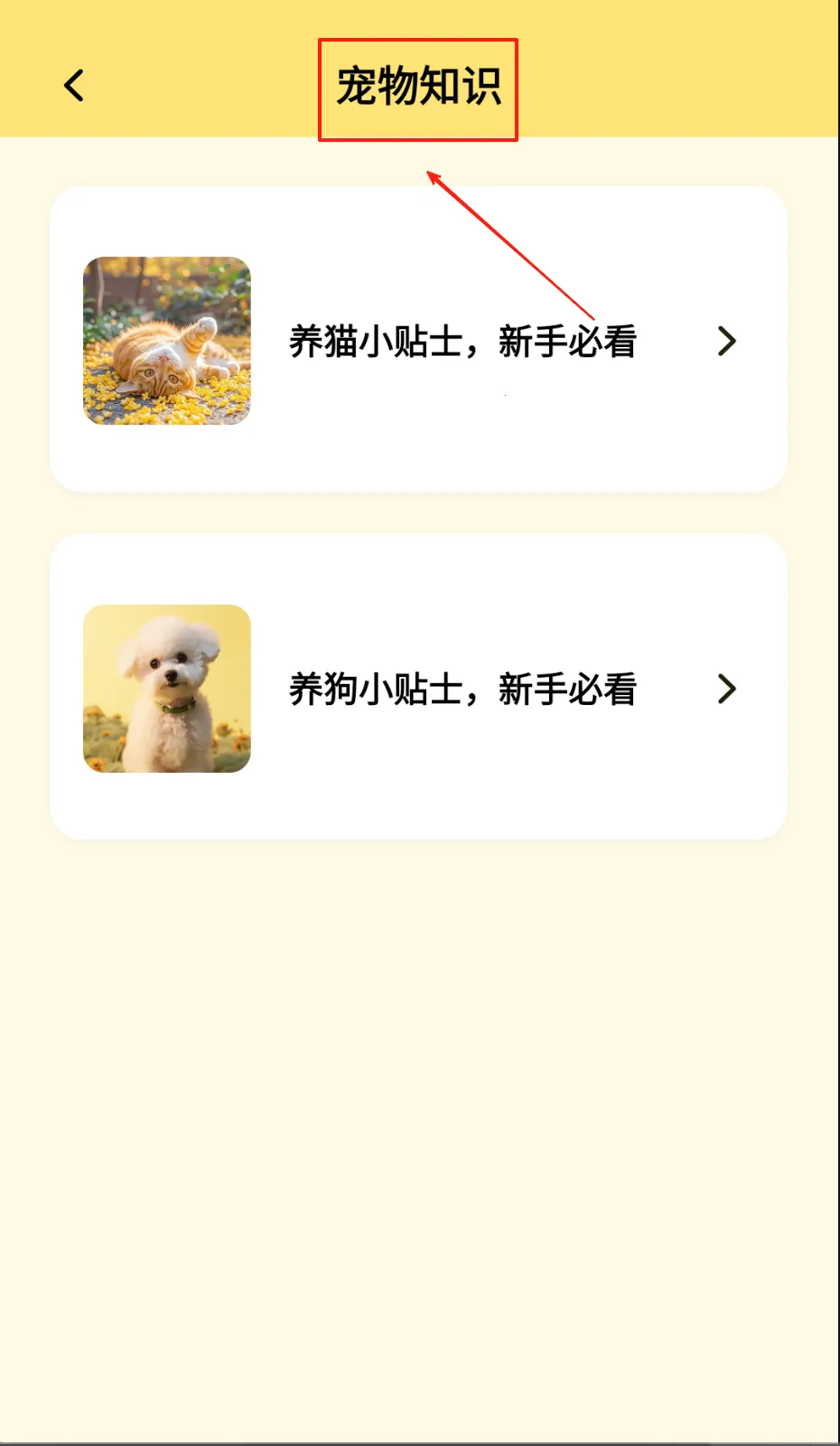 �����������ֻ���