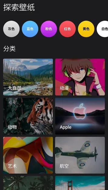 ��ȫȫ��ֽ2026���°汾