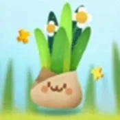 �ڴ�ֲ��v2.11.9 �ֻ���