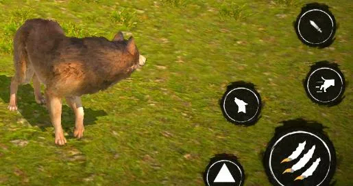 ������Ұ������ģ����2026���°汾