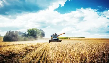 �����ũ��