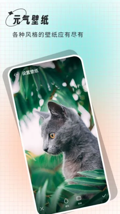 С�����ֽ2026���°汾v1.0 ��Ѱ��ͼ