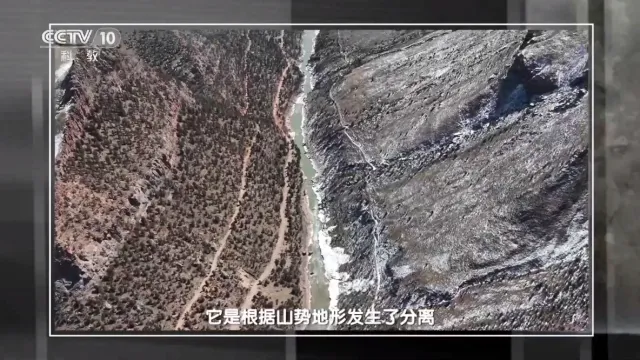 һľ����ֱ����׿���ֻ���