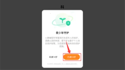 小鹿素养编程课安卓版手机版 小鹿素养编程课安卓版手机版