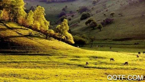 爱陇县2026最新版本 爱陇县2026最新版本