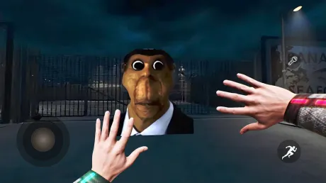 ��������