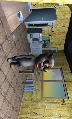 �ֲ��ĺ���v1.0 �ֻ����ͼ