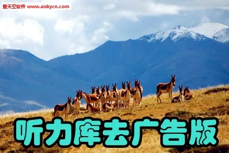 ����������2026�ٷ�����