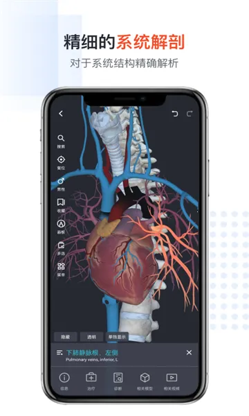 �ڴ��������2026���°汾v3.0.5 �ֻ����ͼ