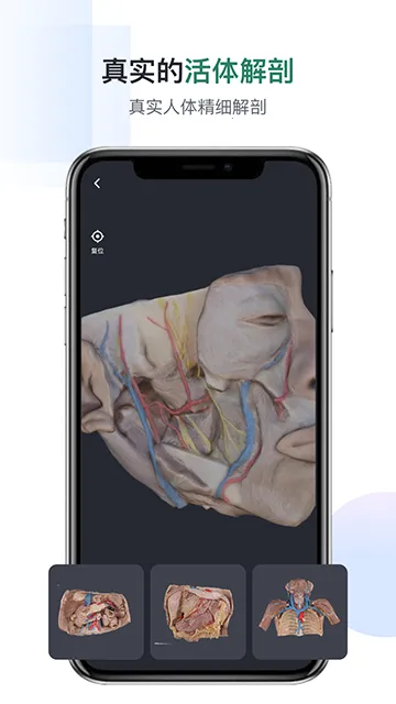 �ڴ��������2026���°汾v3.0.5 �ֻ����ͼ