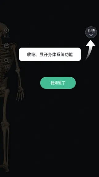 口袋人体解剖2026最新版本 口袋人体解剖2026最新版本