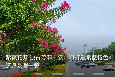 ������ý��׿���ֻ���