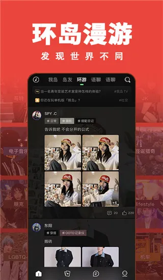 岛app2026最新版本 岛app2026最新版本