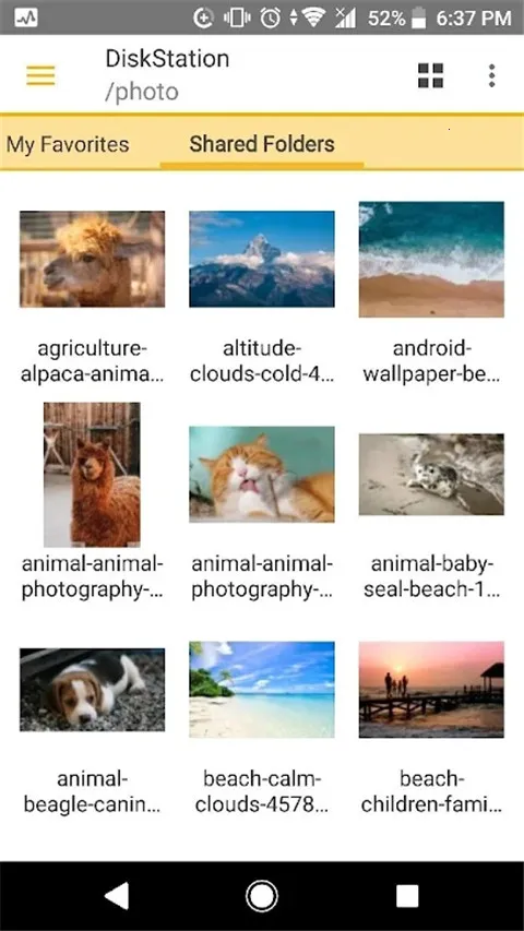 DSfilev4.17.2 �ٷ������ͼ