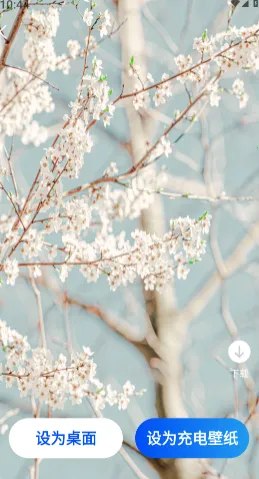 �������Ż�