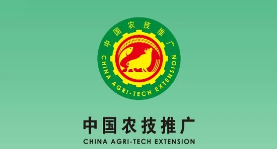 �й�ũ���ƹ�