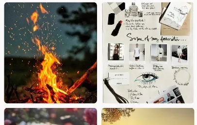 ���ɱ�ֽ2026�ٷ�����