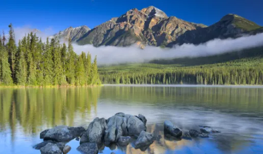 һ�����2026�ٷ����°汾