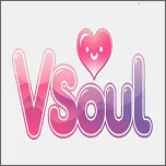 vsoul΢��v4.0.4 �ٷ�����