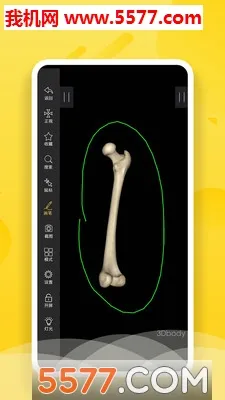 3Dbody����v8.8.91 �ֻ����ͼ